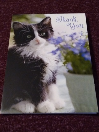 Thank You Notecard - Cat