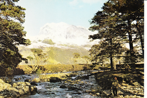 Vintage Postcard Loch Maree, Ross-shire, Scotland