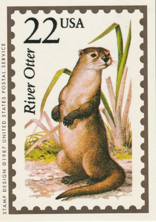 Vintage Wildlife America Collector/Trade Card: River Otter