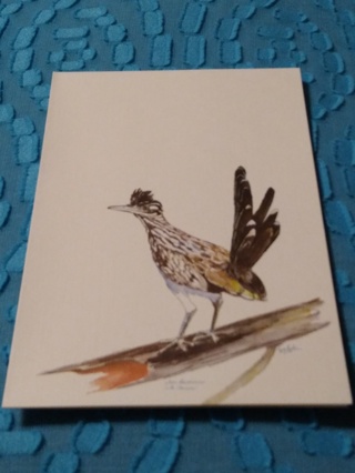 Greeting Card - Texas Roadrunner