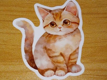 Cat 1⃣ Cute new vinyl sticker no refunds regular mail only Very nice these are all nice