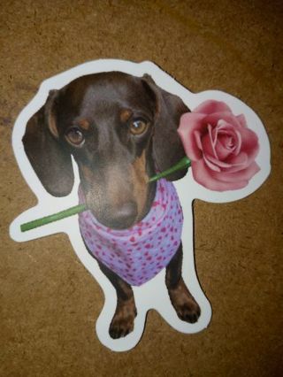 Dog Cute nice vinyl sticker no refunds regular mail only Very nice quality!