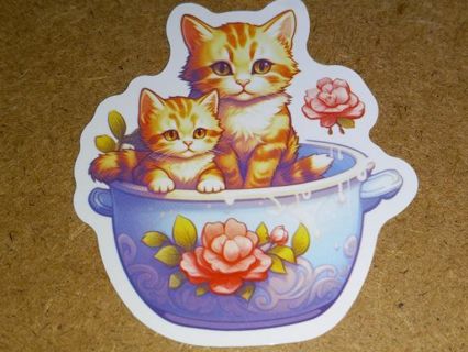 Cute new 1⃣ vinyl lap top sticker no refunds regular mail very nice quality