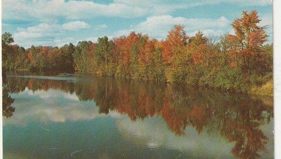 Vintage Used Postcard: a: 1961 Greetings from Harrison, MI