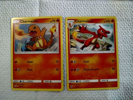 Pokemon Sun and Moon Hidden Fates Charmander and Charmeleon Set