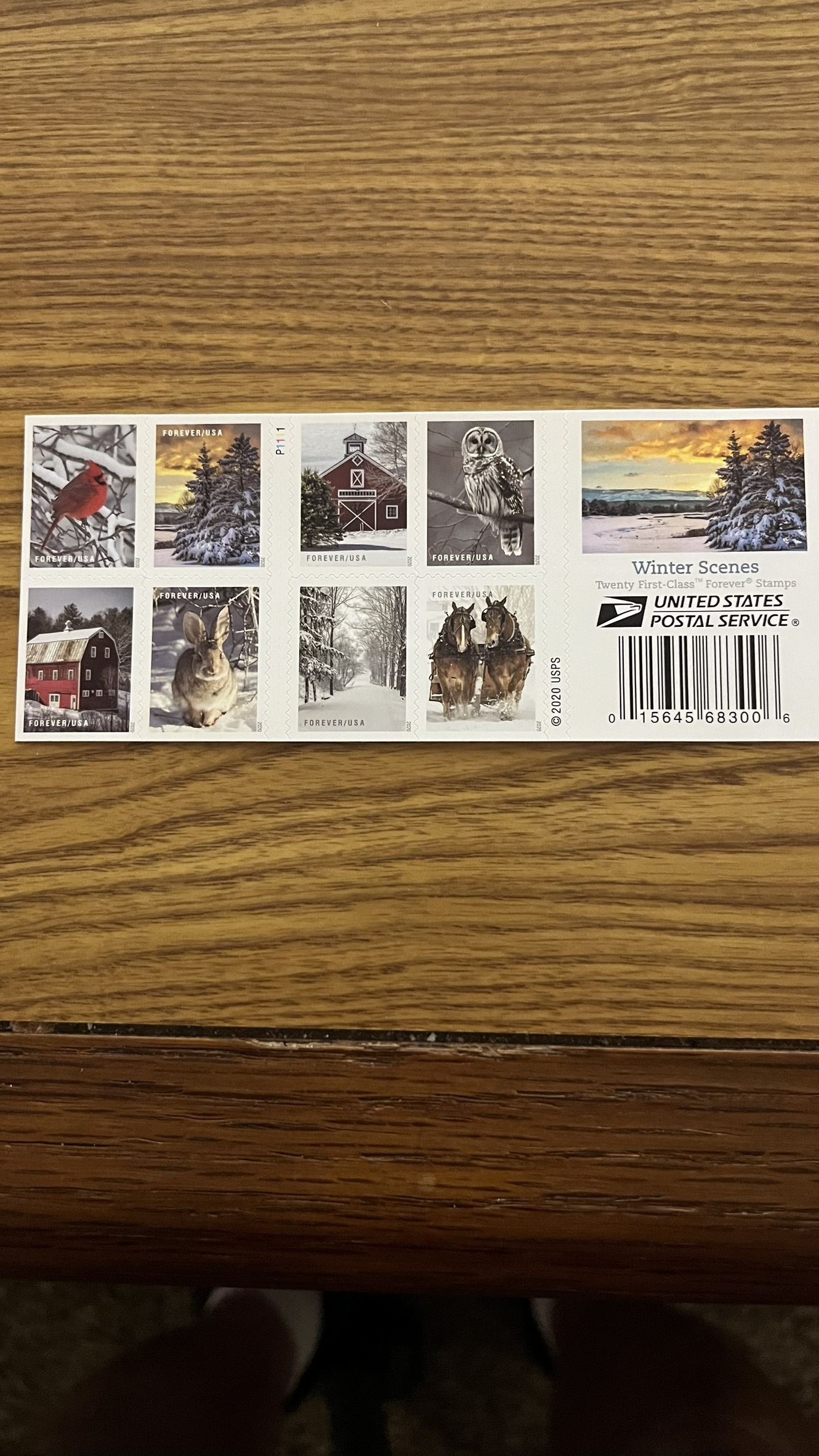 FREE: Winter Scenes forever postage stamps-lot of 100-mint