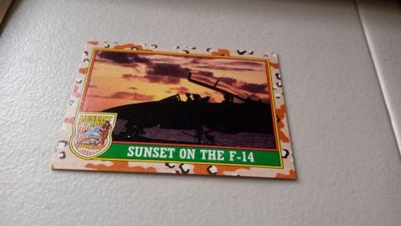 Sunset on the F-14