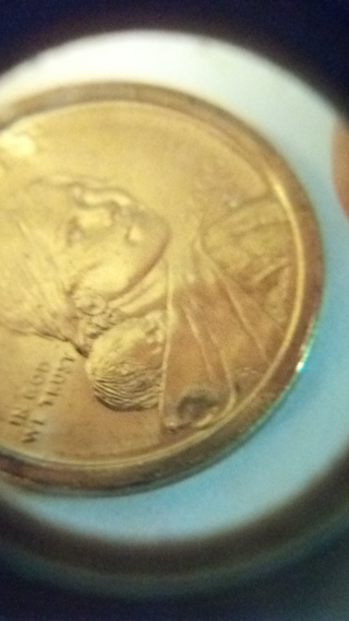 2000 P Sacagawea, shiny 