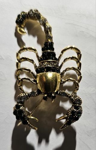 Scorpian Brooch