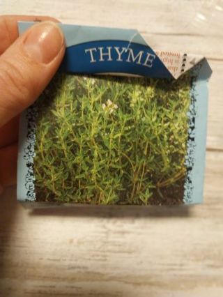 Thyme seeds 20+