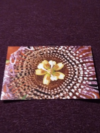 Greeting Card - Passion flower
