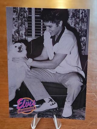 1992 The River Group Elvis Presley "The Elvis Collection" Card #567