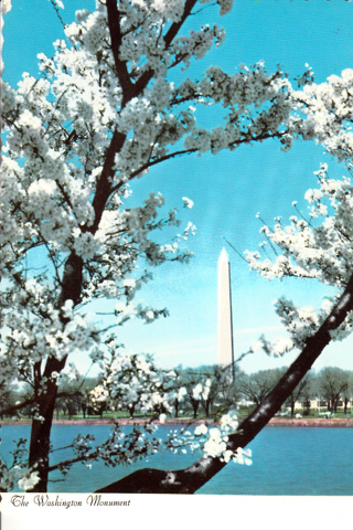 Vintage Postcard Washington Monument