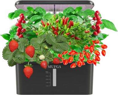 Indoor Garden Hydroponics Growing System