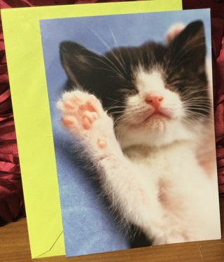 Sleeping Black and White Kitten Thank You Card