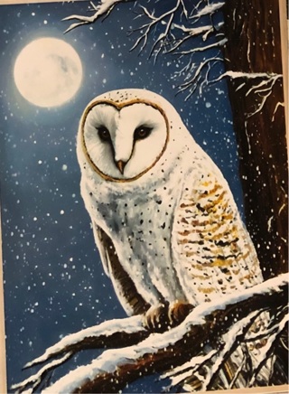 Winter Owl ! - 4 x 3” MAGNET - GIN ONLY