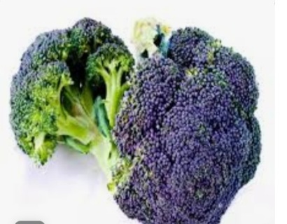 Broccoli Miranda (Purple)
