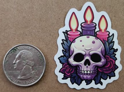 Skull w/ Candles Sticker