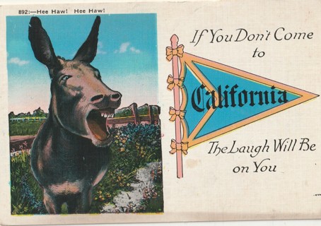 Vintage Unused Postcard: (c) Pre Linen: If You Don't Come to California