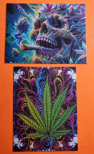 Pot/Skull Magnets