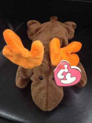 NEW WITH TAG=CHOCOLATE THE MOOSE BEANIE BABY