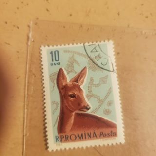 stamp