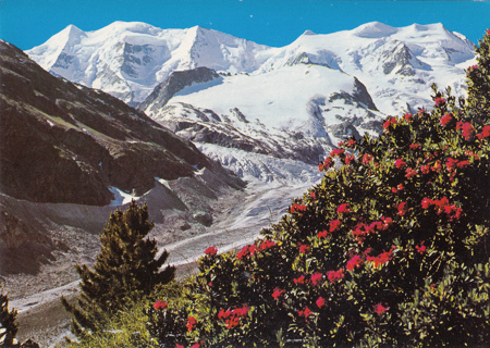 Vintage Postcard Piz Palu, Switzerland and Italy