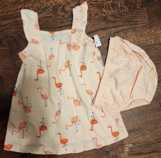 NEW - Carter's - Baby Girl 2 piece Outfit - size 9 months