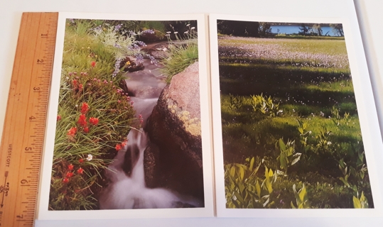 2 Notecards (with Envelopes) from Yosemite