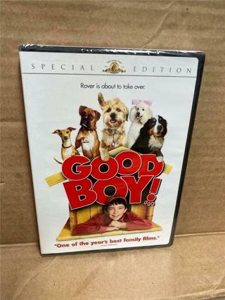 GOOD BOY DVD=NO SCRATCHES