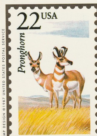 Vintage Wildlife America Collector/Trade Card: Pronghorn