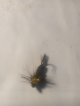 Fishing Fly