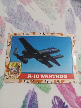 Desert Storm Card