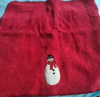 Christmas wash cloth