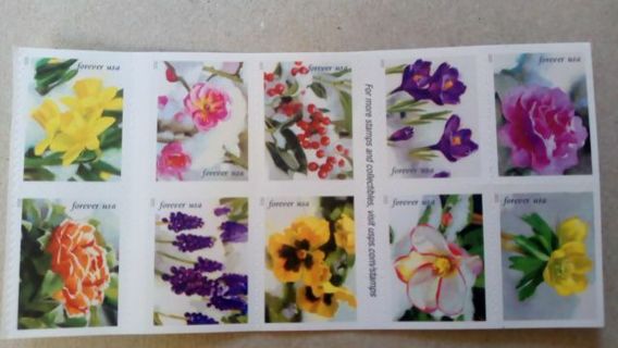 10- FOREVER US POSTAGE STAMPS.... SPRING BEAUTY FLOWERS