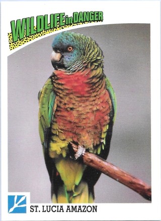 1992 Panini Wildlife in Danger #60 St. Lucia Amazon