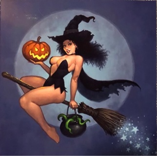 Sexy Witch - 3 x 4” MAGNET - GIN ONLY