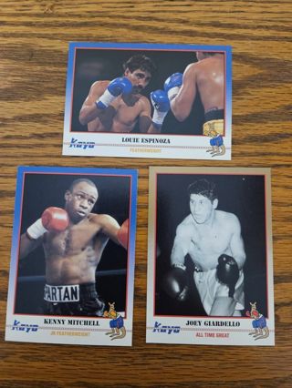 1991 KAYO Boxing trading cards. #154,#155,#156.