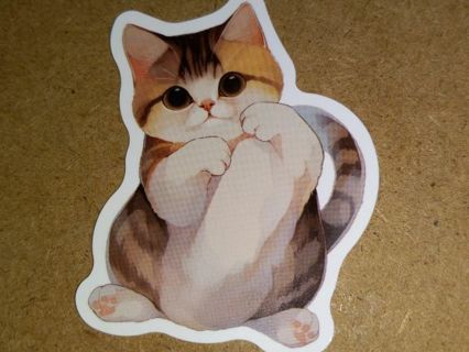Cat Cute 1⃣ vinyl sticker no refunds regular mail only Very nice quality!
