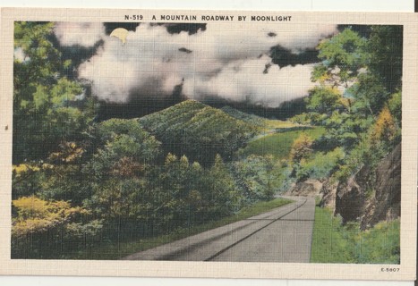 Vintage Unused Postcard: x: Mountain Roadway by Moonlight