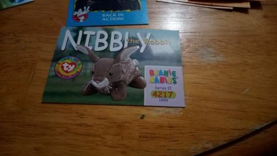 Nibbly the Rabbit