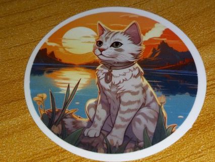 Cat Cute one nice vinyl sticker no refunds regular mail only Very nice quality!