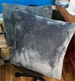 Two Blue-Gray Pillows 