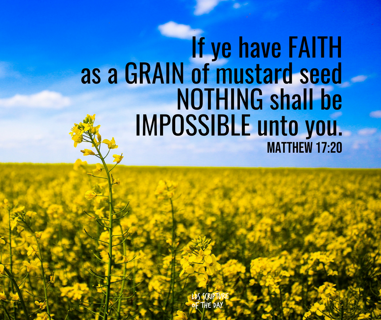 30+ mustard seeds