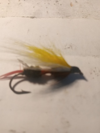 Fishing Fly