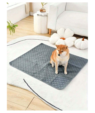 1pc Washable Dog Pee Pad Size XS for Small Dog Breed