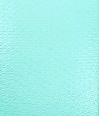 ↗️⭕(1) 10"× 11.5" TEAL BUBBLE MAILER ⭕XXL