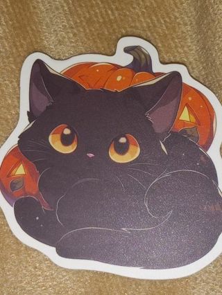 Cat one big nice vinyl lab top sticker no refunds regular mail win 2 or more get bonus