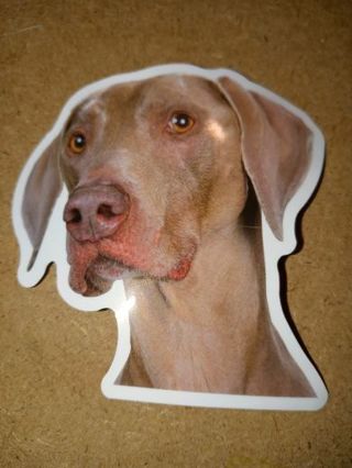 Dog big Cute vinyl sticker no refunds regular mail only Very nice quality
