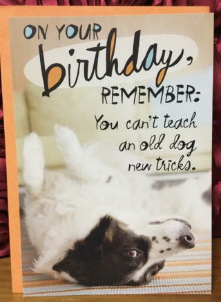Black and White Dog on Back Birthday Card